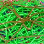 bonbon en vrac lasso map hitschler