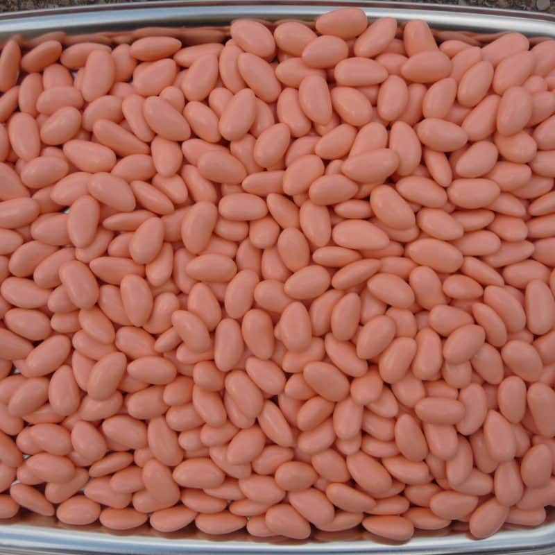 Dragée vrac brillant amande couleur corail Adam