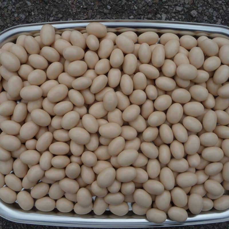 Dragée vrac brillant amande caramel spéculoos