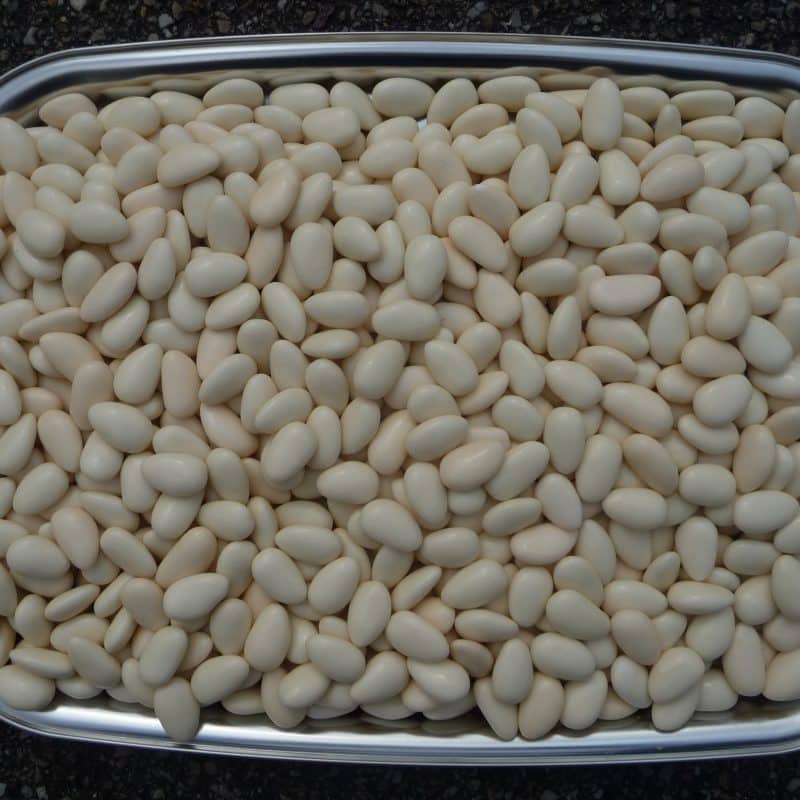 Dragée vrac brillant amande couleur écru Adam