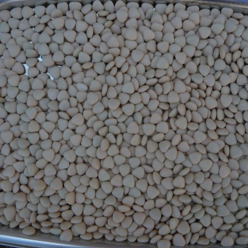 Dragée vrac brillant mini coeur chocolat écru Adam