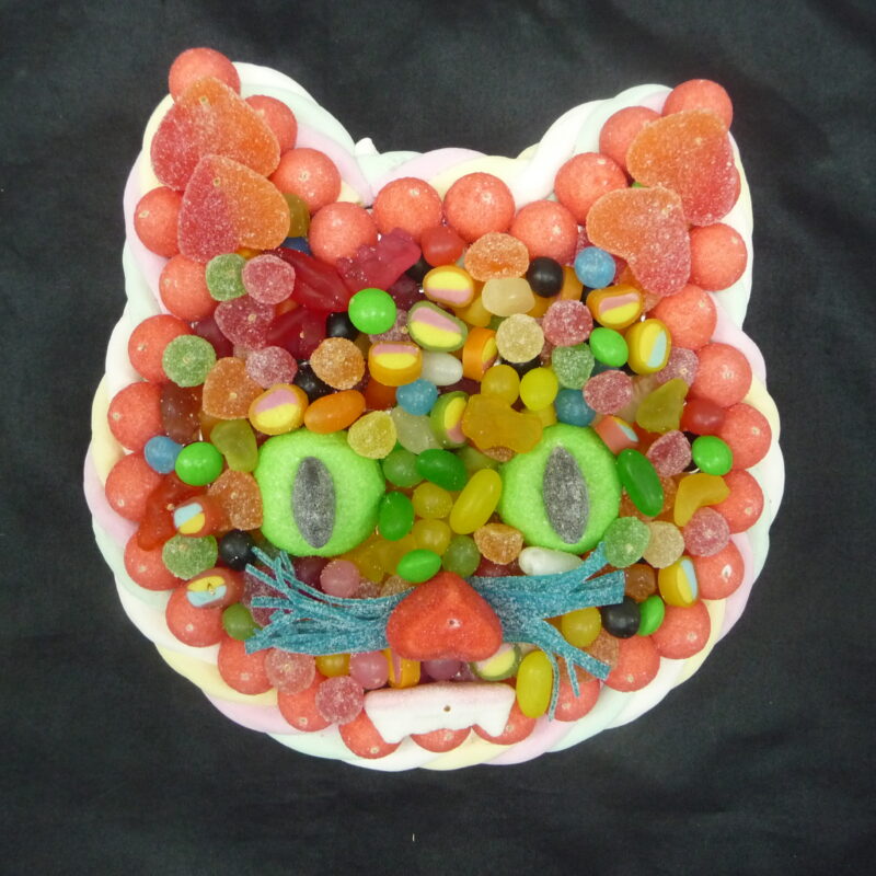 gateau de bonbons chat pas cher