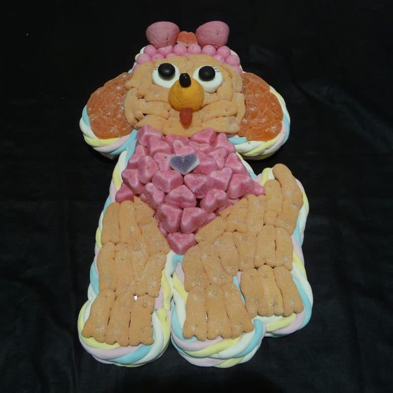 Gâteau de bonbons en forme de Stella Pat Patrouille