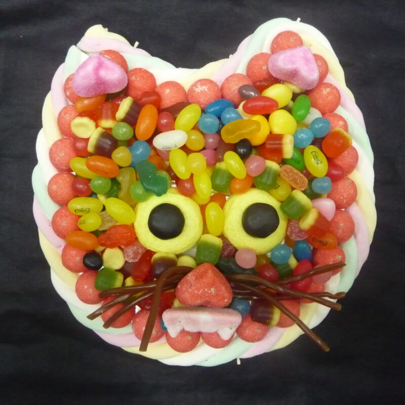 gateau de bonbons tete chat pas cher