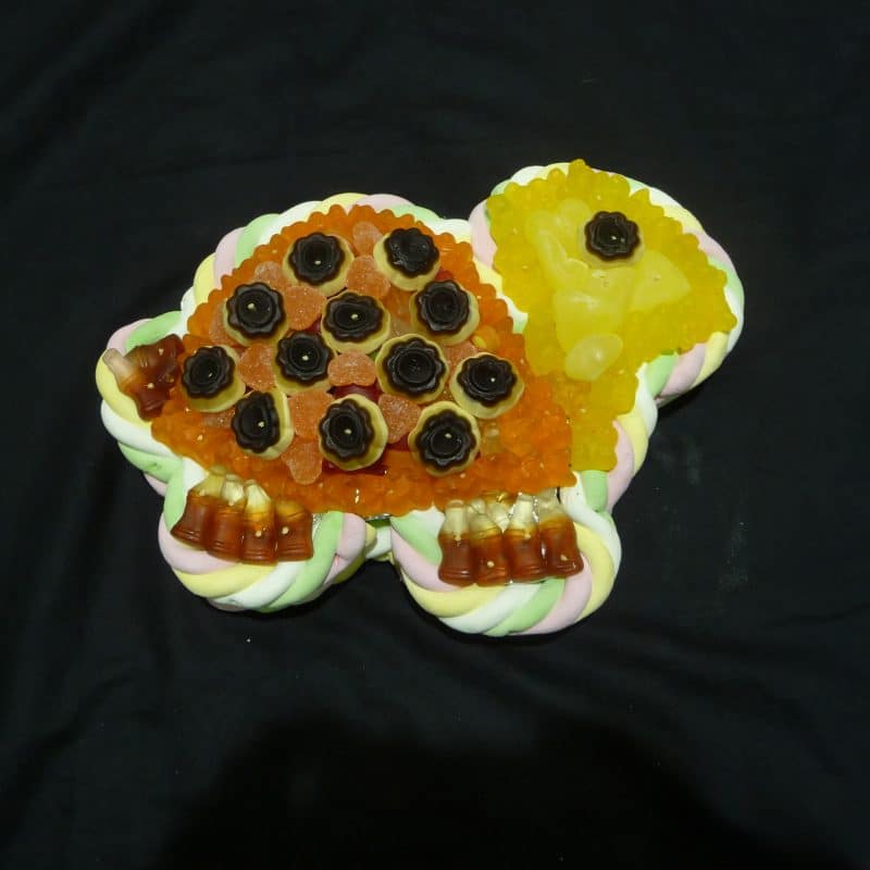 Gâteau de bonbons en forme de Tortue terrestre