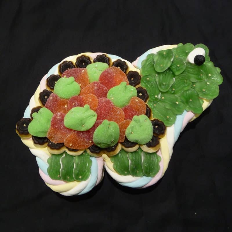 Gâteau de bonbons en forme de Tortue terrestre