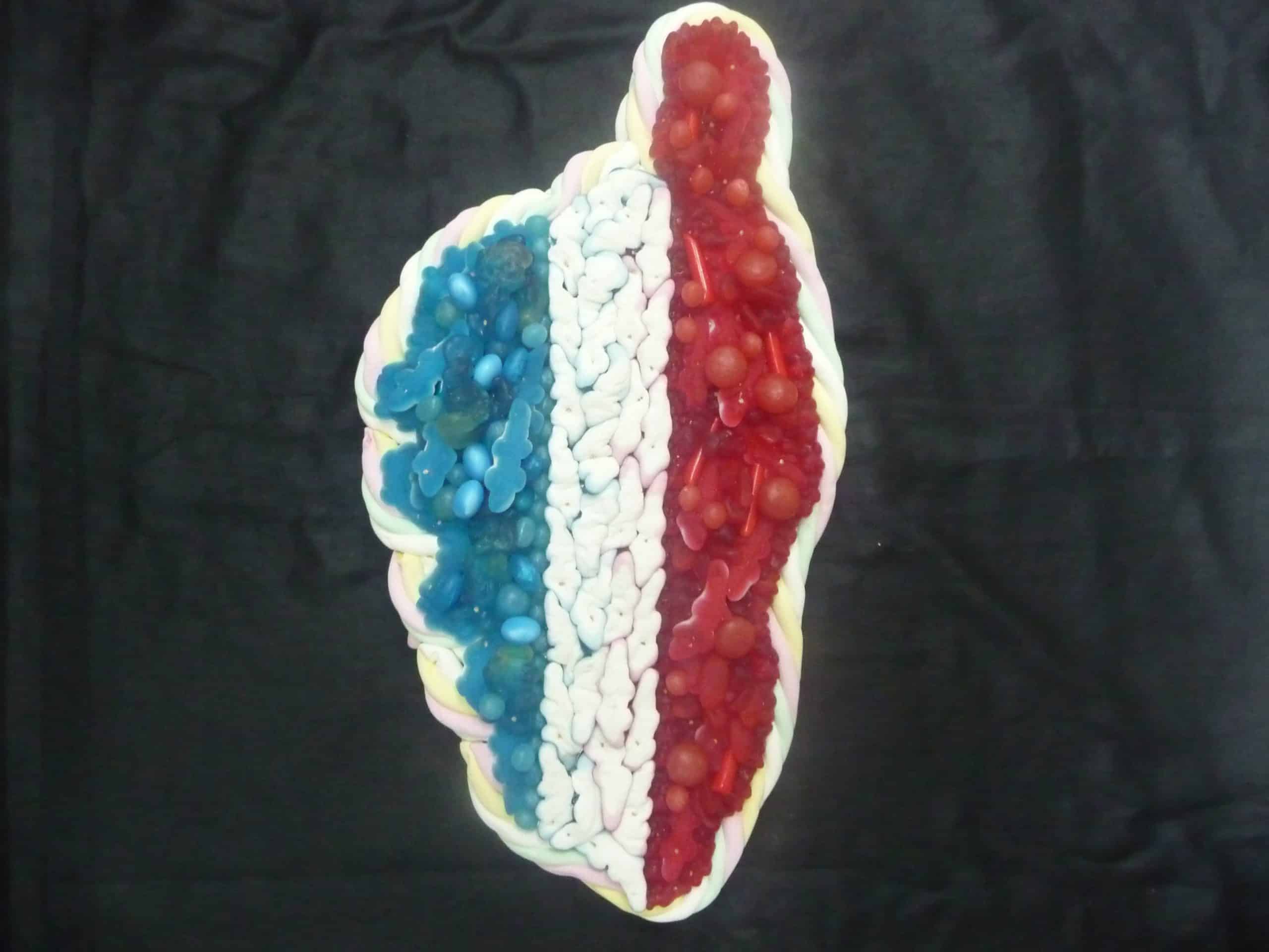 gateau de bonbons corse bleu blanc rouge pas cher