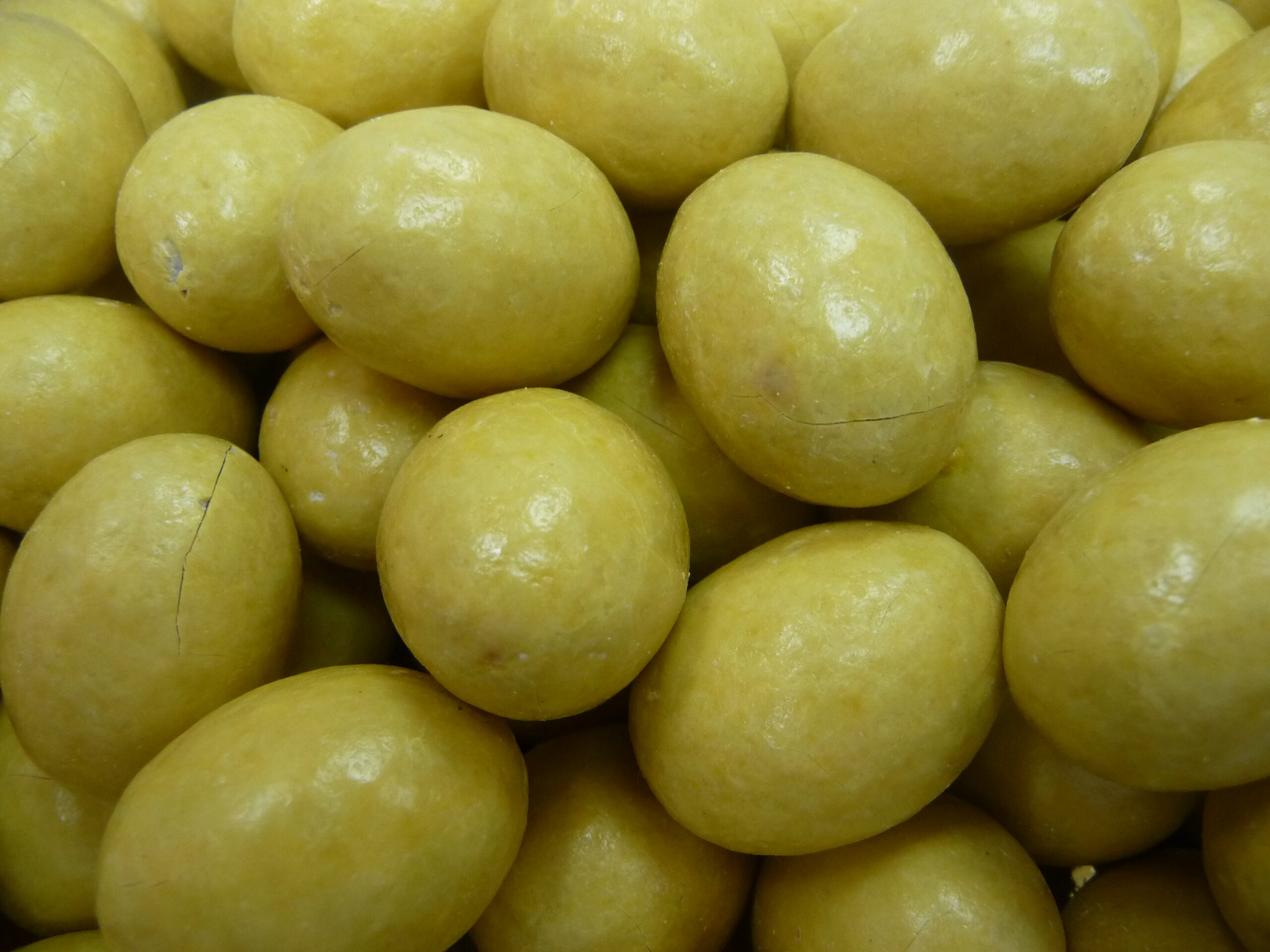 oeuf ganache paris brest schaal chocolatier pas cher